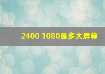 2400 1080是多大屏幕